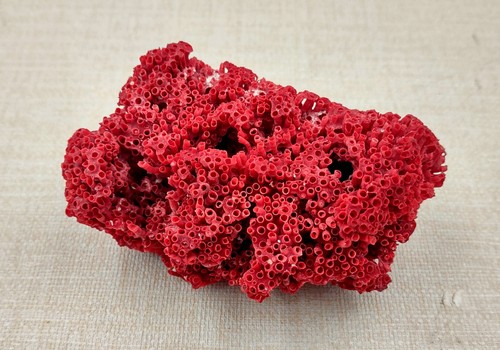 Red pipe organ - pipe, fragment